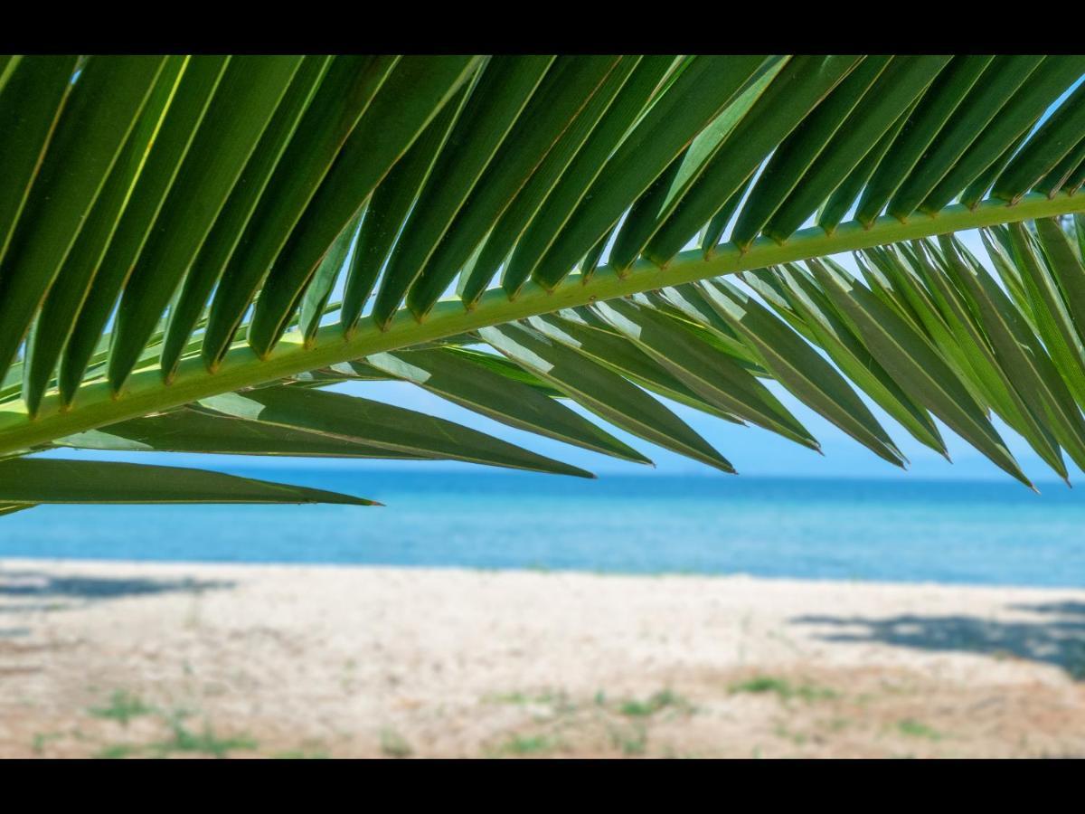 Aktaia Fresh Apartment Ormos Prinou  Luaran gambar